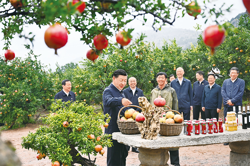 习近平：开辟马克思主义中国化时代化新境界